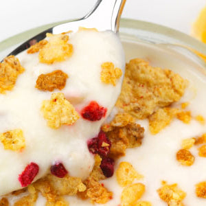 Classic-Style Yogurt Recipe – Brod & Taylor New Zealand