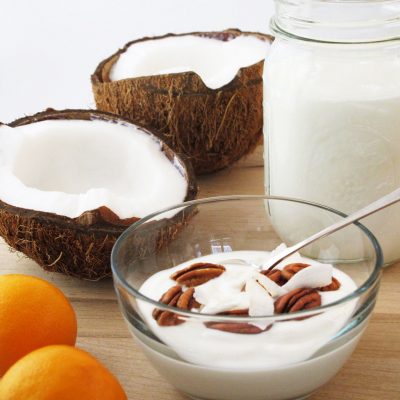 Coconut Milk Yogurt Recipe – Brod & Taylor New Zealand