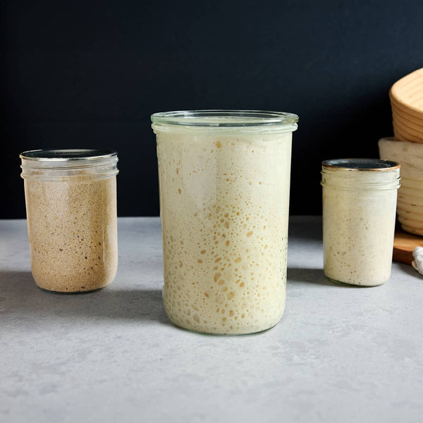 Sourdough Starter Feeding Ratios | Brod & Taylor – Brod & Taylor New ...