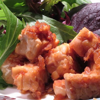 How to Make Tempeh – Brod & Taylor New Zealand