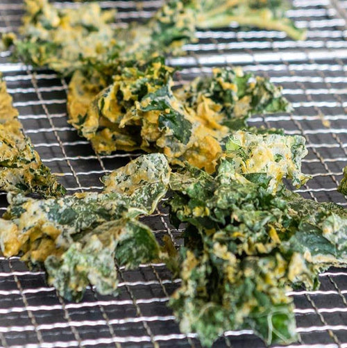 Dehydrated Kale Chips Brod and Taylor Recipe