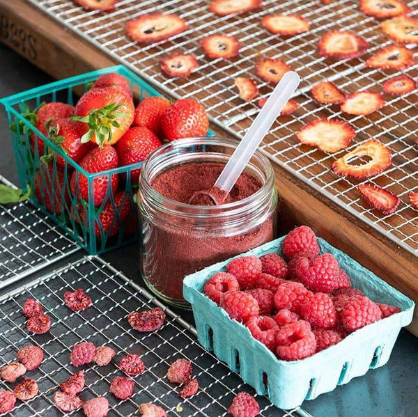Berry Powder & Chips – Brod & Taylor New Zealand
