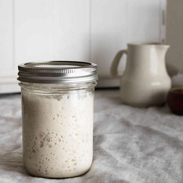 Sourdough Starter 101 | Brod & Taylor – Brod & Taylor New Zealand