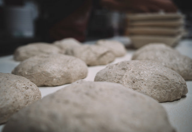 Organic Diastatic Malt Powder - A natural dough enhancer for bread, pizza & bagel making.